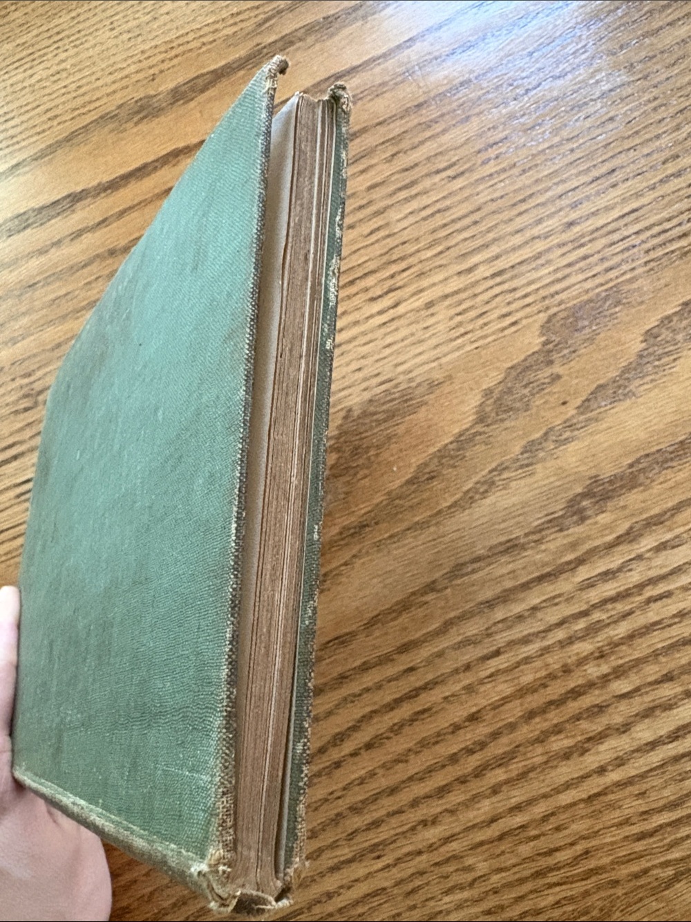 Vintage Bird Book “Dwellers on the River Banks” - Picture 10 of 12